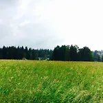 Hotel Waldhotel Auszeit 4*