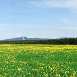 Waldhotel Auszeit 4*