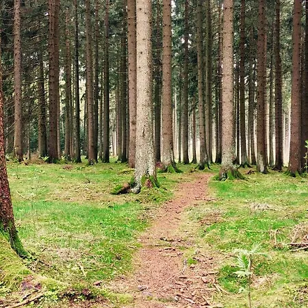 Hotel Waldhotel Auszeit