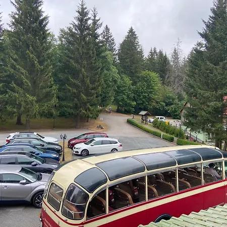 Waldhotel Auszeit Mit Restaurant & Cafe 4*