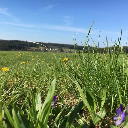 Waldhotel Auszeit