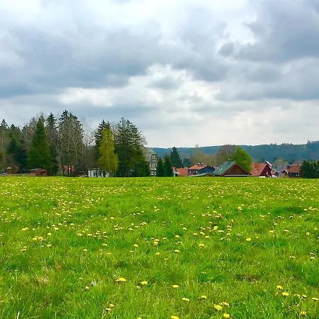 Waldhotel Auszeit Szálloda Tanne