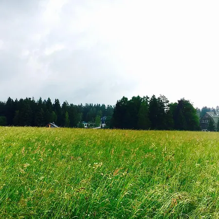 Hotel Waldhotel Auszeit Mit Restaurant & Cafe 4*