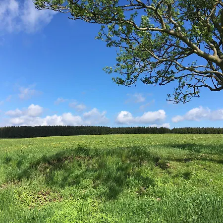 Hotel Waldhotel Auszeit Tanne