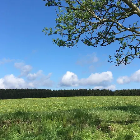 Hotel Waldhotel Auszeit