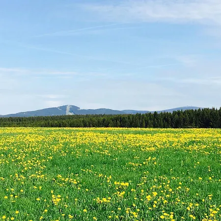 Waldhotel Auszeit Mit Restaurant & Cafe 4*