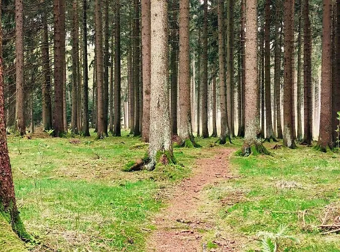 ホテル Waldhotel Auszeit