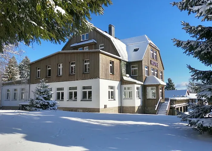 ホテル Waldhotel Auszeit 4*