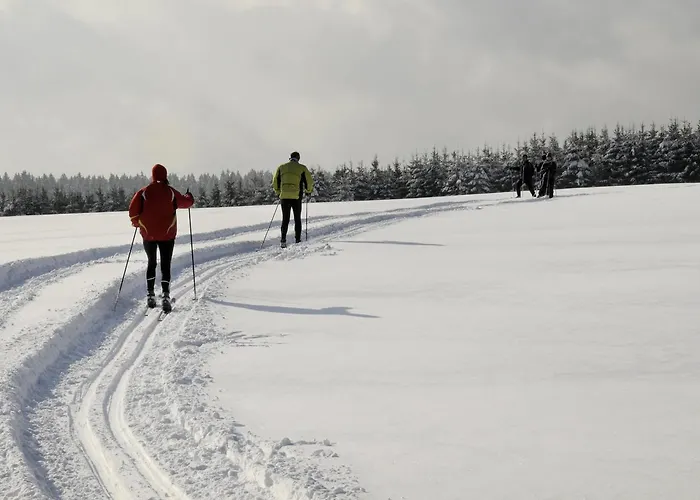 Waldhotel Auszeit מלון