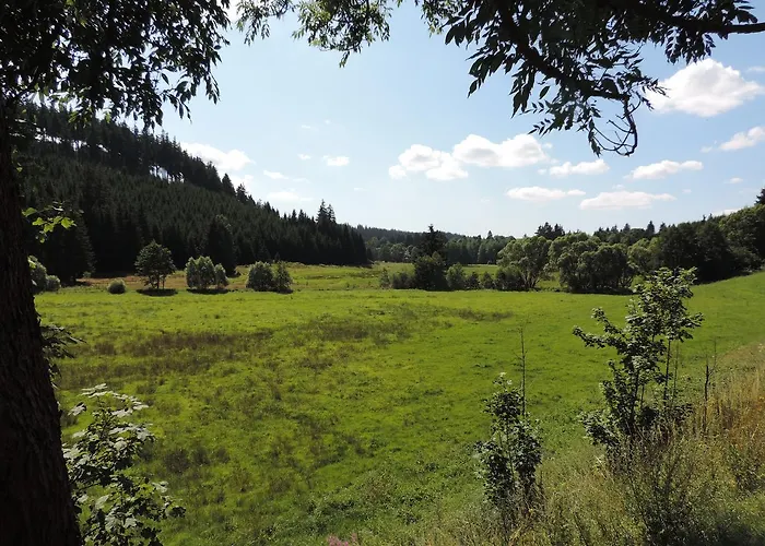 Waldhotel Auszeit 4*