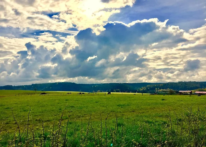 Waldhotel Auszeit מלון 4*