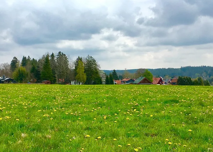 Waldhotel Auszeit ホテル タンネ