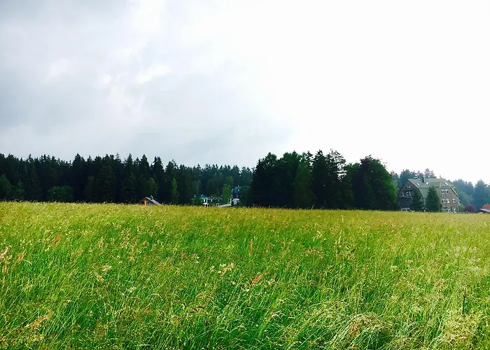 מלון Waldhotel Auszeit 4*