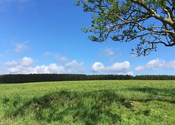 ホテル Waldhotel Auszeit タンネ