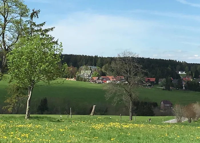 Waldhotel Auszeit מלון טאנה