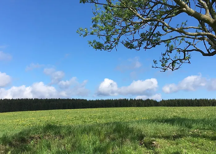 ホテル Waldhotel Auszeit