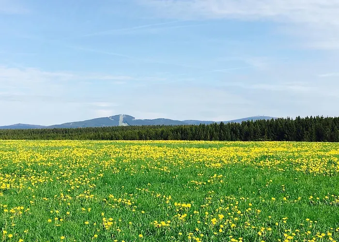 Waldhotel Auszeit 4*