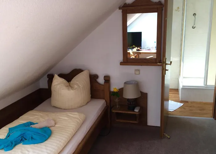 ホテル Waldhotel Auszeit 4*